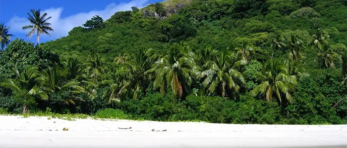 Paisaje natural de playa en Islas Fiji.