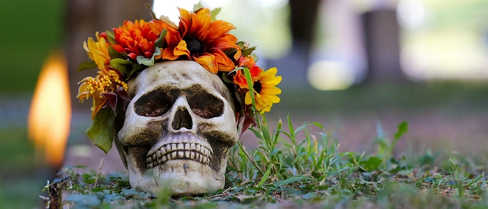 Una calavera adornada con flores, símbolo del día de muertos en méxico.